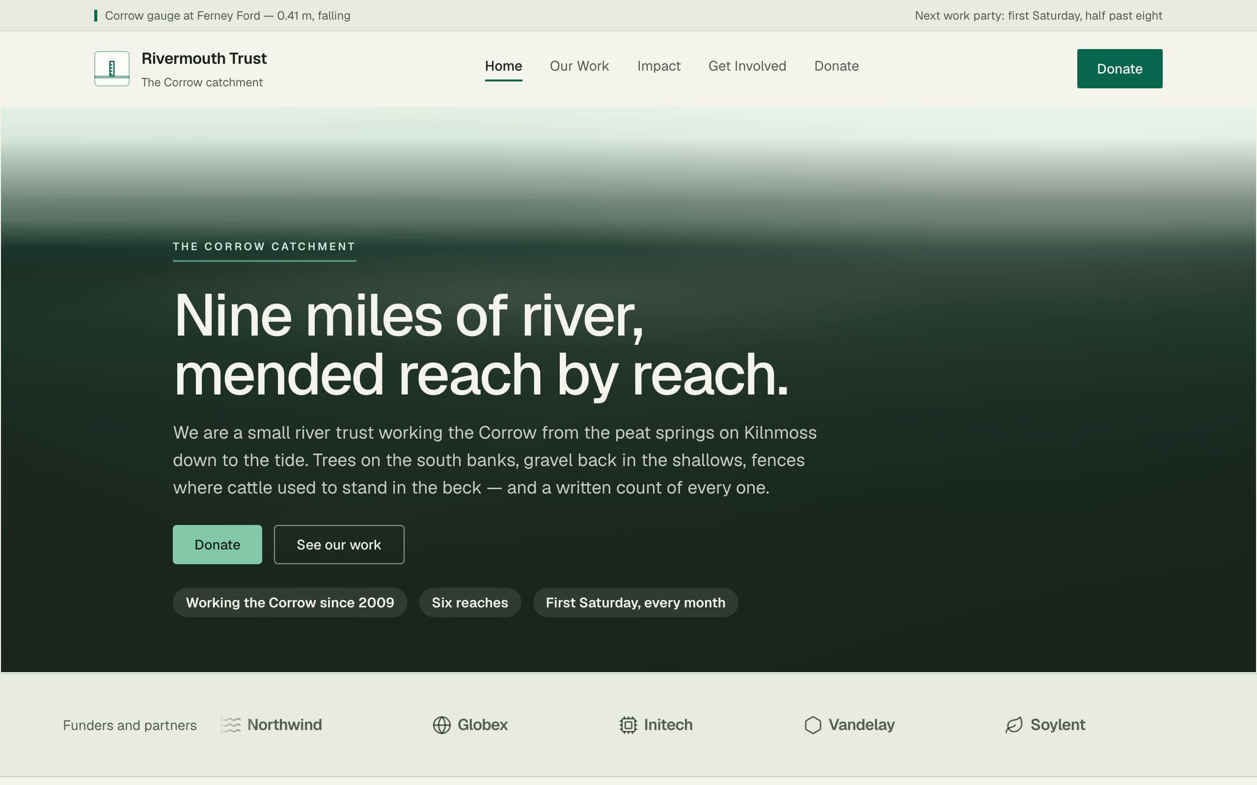 Nonprofit Cause template — home page concept poster