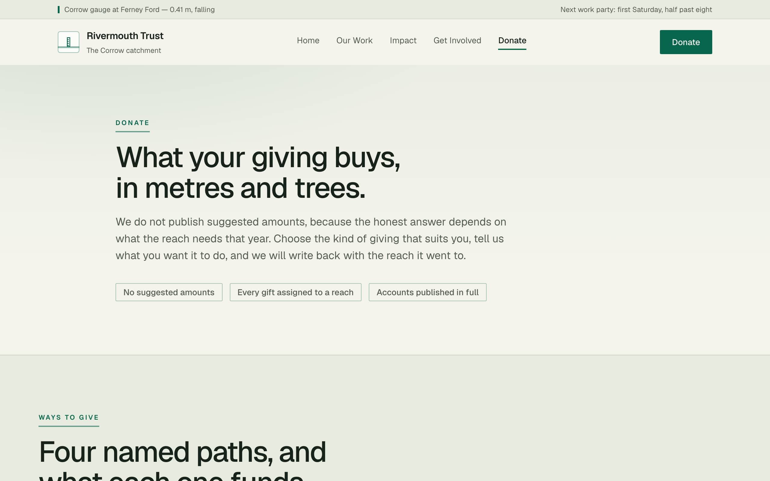 Nonprofit Cause template — Donate page concept poster