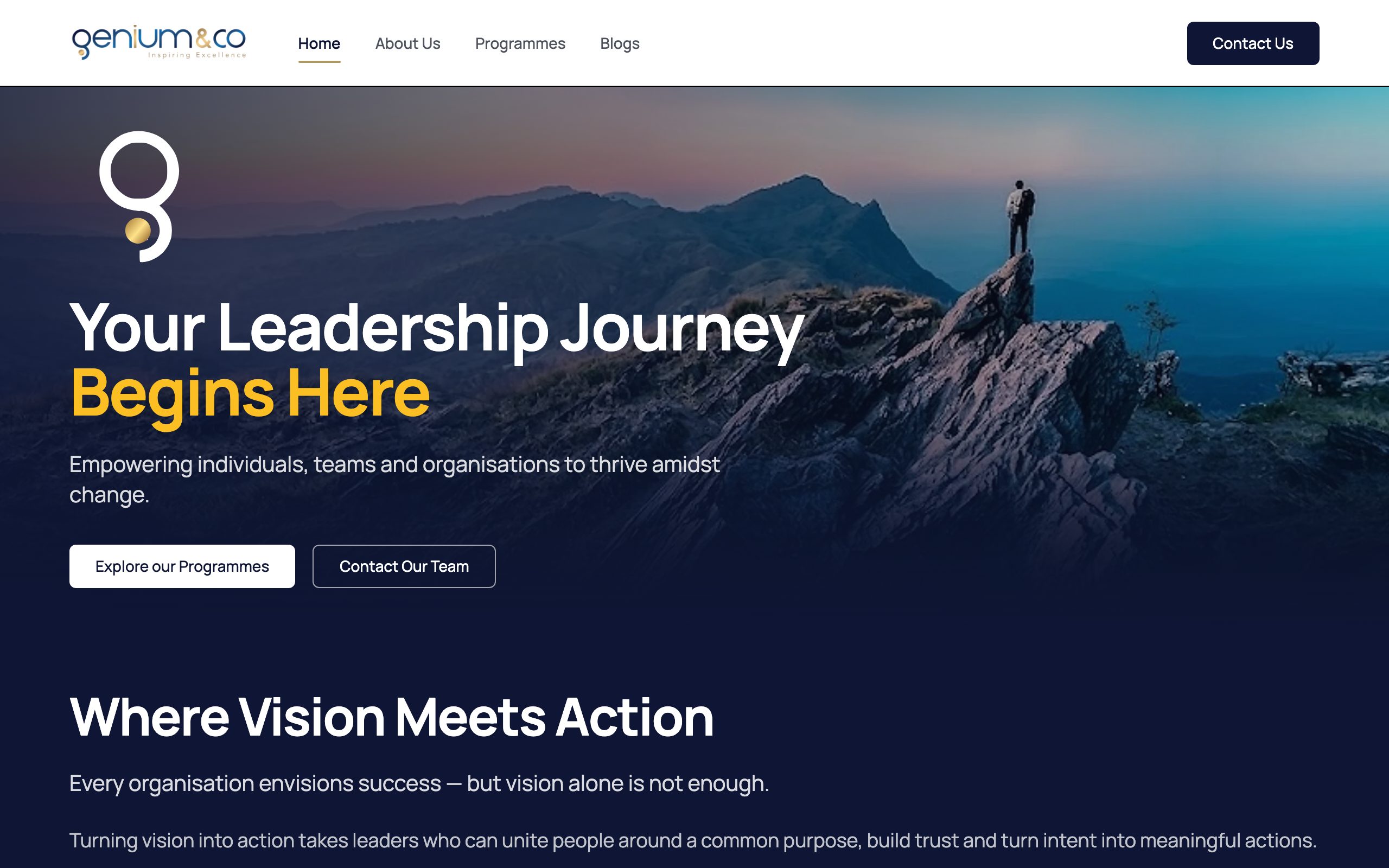 Screenshot of the Genium & Co homepage